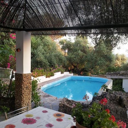 Casa El Cerro Villa เอลบอสเก ภายนอก รูปภาพ