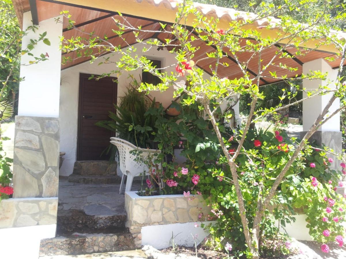 Casa El Cerro Villa เอลบอสเก ภายนอก รูปภาพ