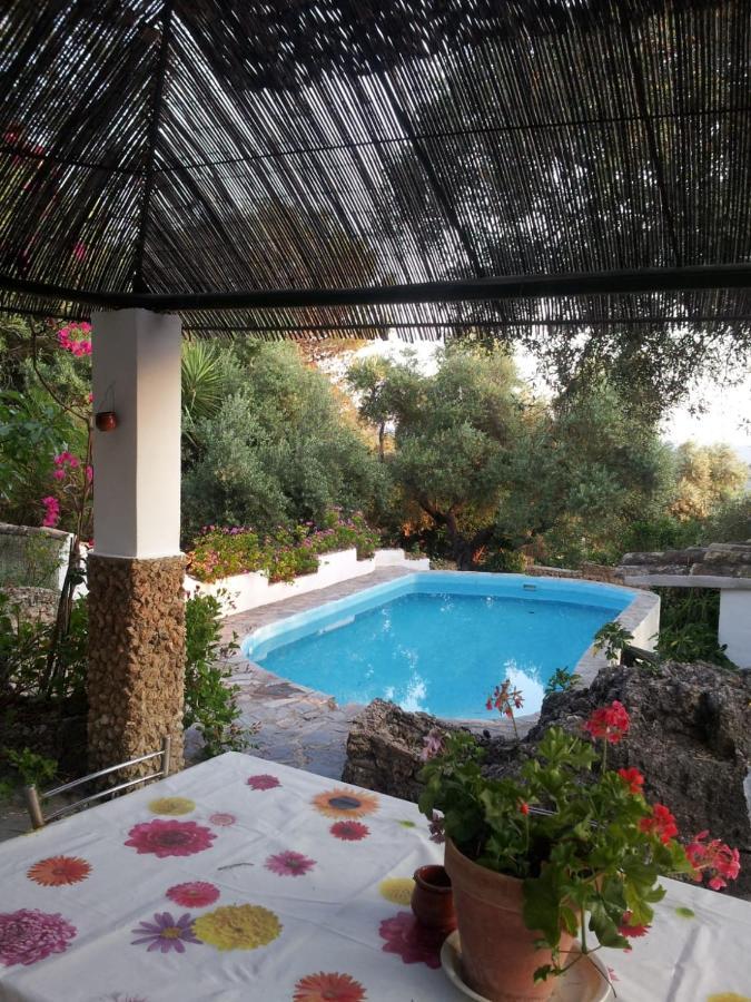 Casa El Cerro Villa เอลบอสเก ภายนอก รูปภาพ