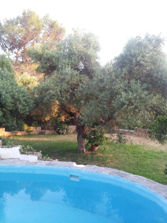 Casa El Cerro Villa เอลบอสเก ภายนอก รูปภาพ